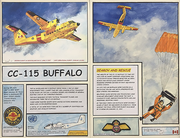 CC-115 Buffalo Panel - by Jake Fowell